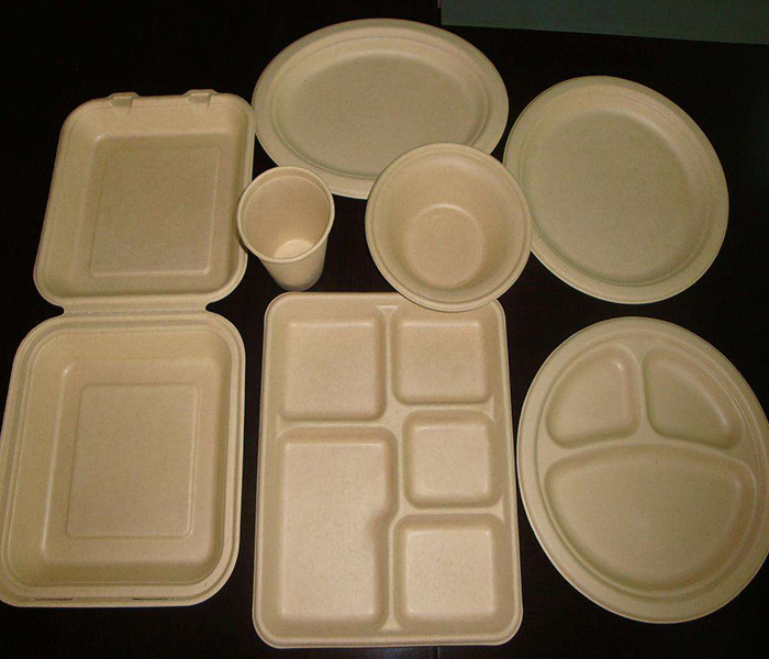 環(huán)保紙漿模塑歷來發(fā)展與應(yīng)用有哪些？